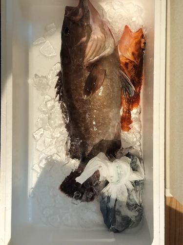 洲崎沖