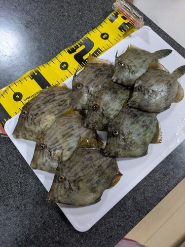 那珂湊港