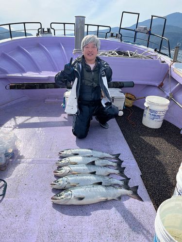 シロザケの釣果