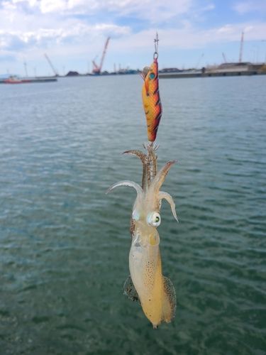 石狩湾新港