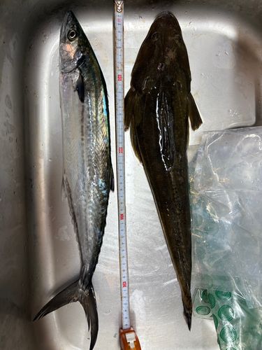 釣果