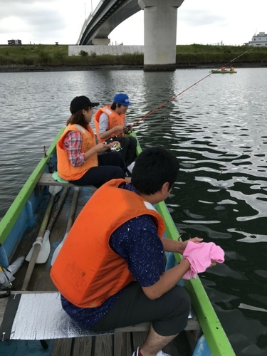 マハゼの釣果