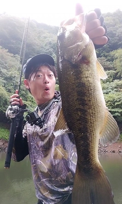 ブラックバスの釣果