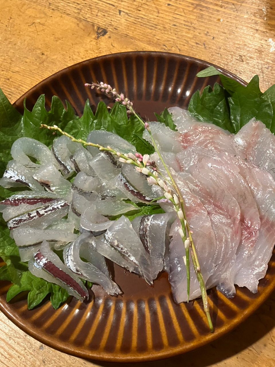 サヨリ