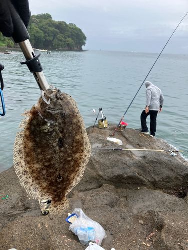 油壺