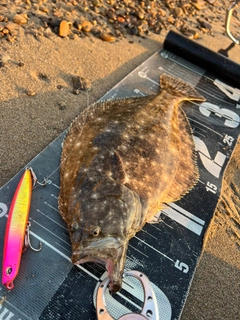 ソゲの釣果