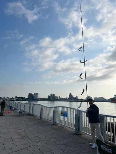 キラキラ公園（苫小牧西港）