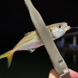 アジ