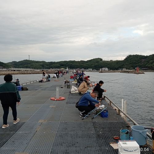マアジの釣果