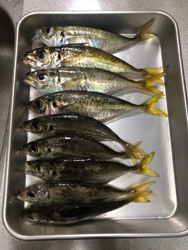 福良湾