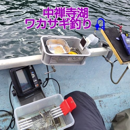 ワカサギの釣果