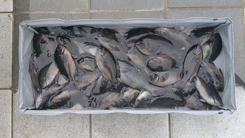 和歌浦湾