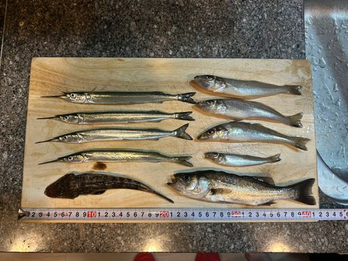 高洲海浜公園