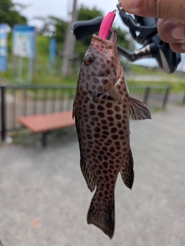 親水広場