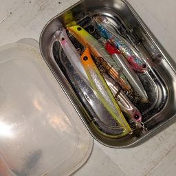 チヌ
