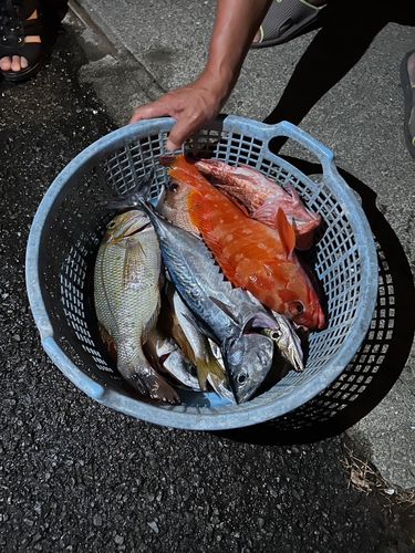 泊浦