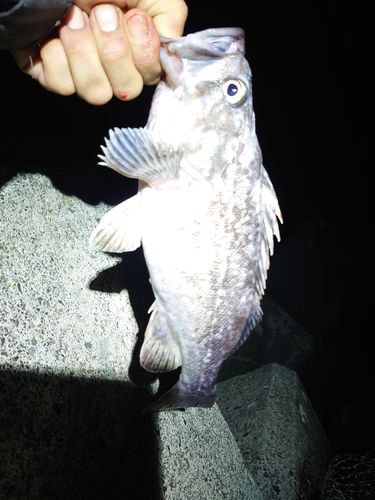登別漁港