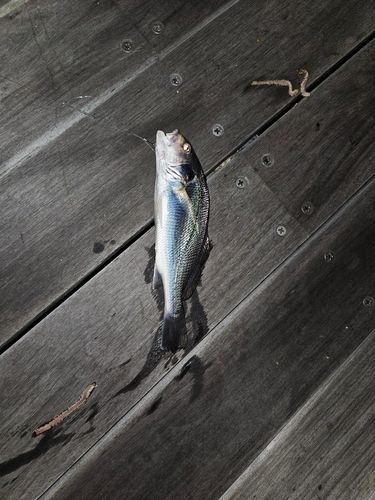 小名浜港アクアマリンふくしま周辺
