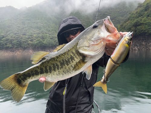 坂本筋