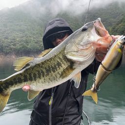 ブラックバス