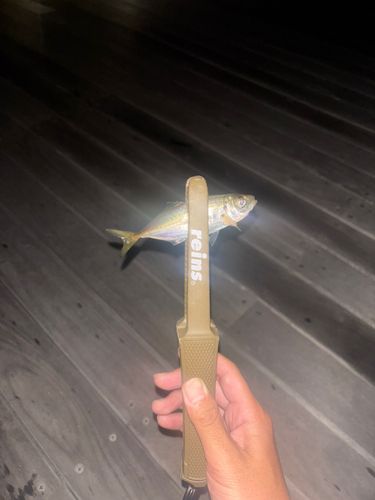 小名浜港アクアマリンふくしま周辺