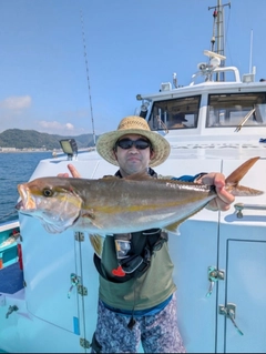 カンパチの釣果