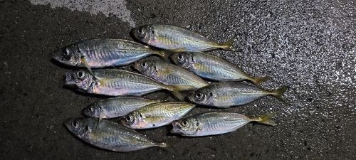 小名浜港市場前