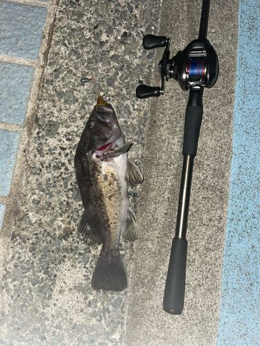 青森湾