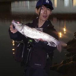 ニゴイ