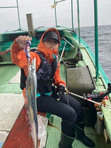 タチウオの釣果