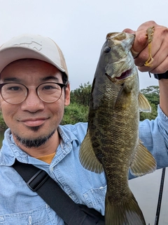 スモールマウスバスの釣果