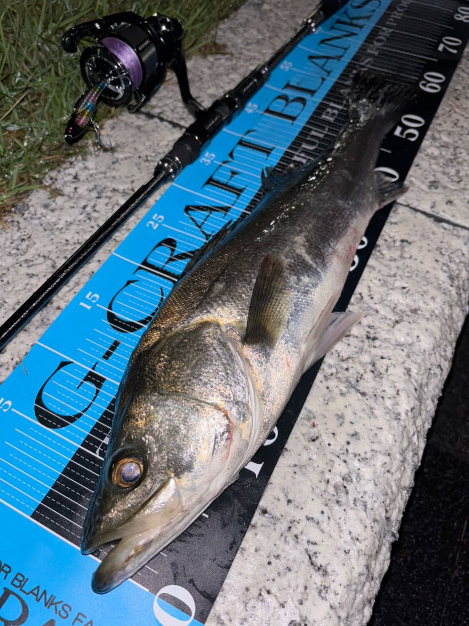 Gクラフト　セブンセンスtr　ミッドリバー　リミテッド　9102 Gクラフト ミッドリバーリミテッド MRLS-9102-TR : 釣り具の通販