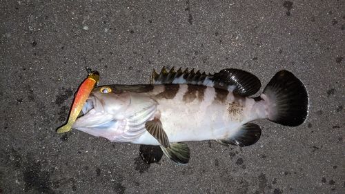 表浜名湖