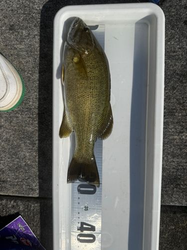 はやま湖