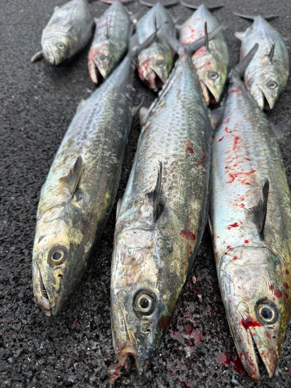 SHIMANO 20コルトスナイパー XR B100MHの最安値・インプレ・釣果