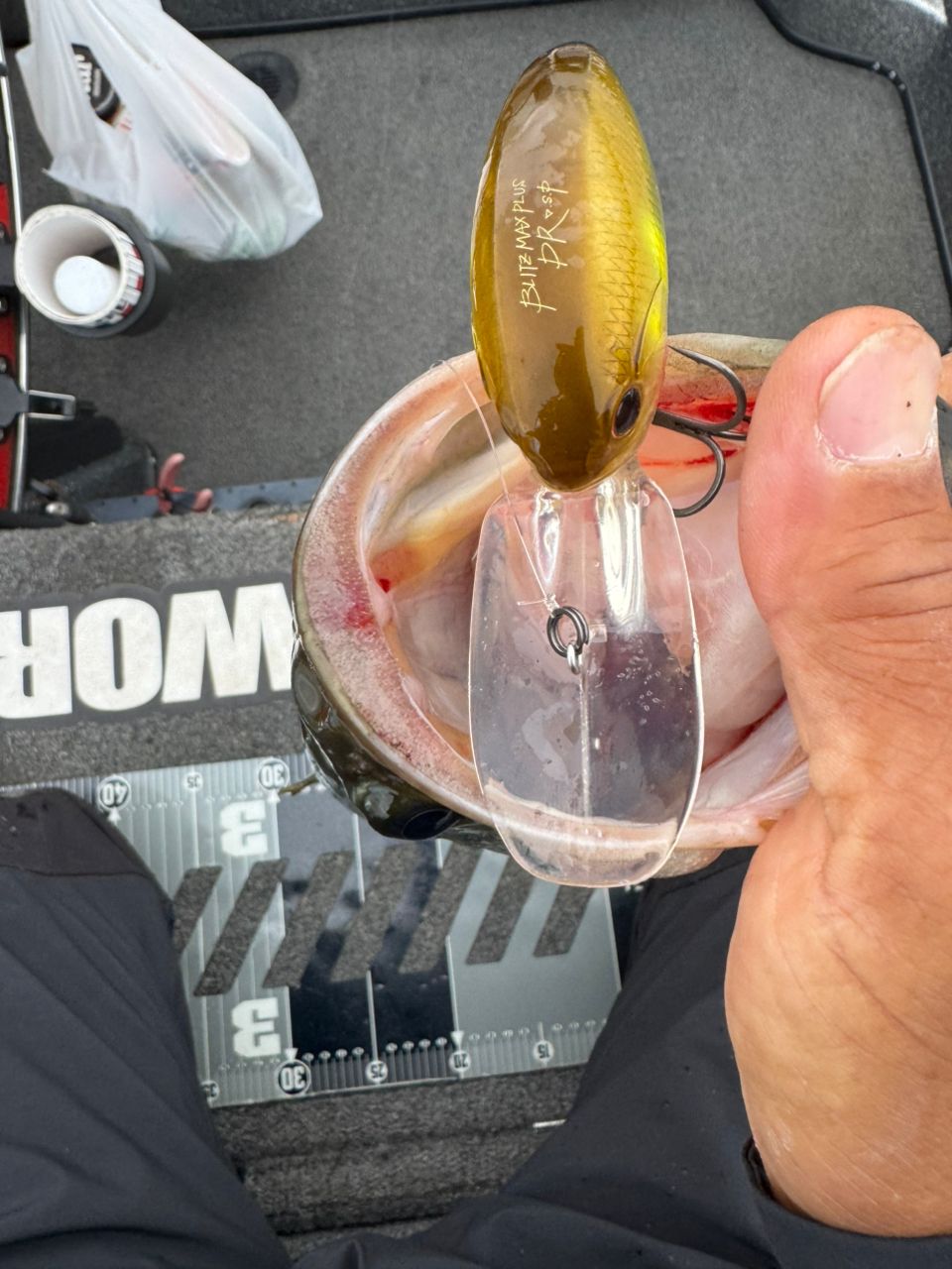 DAIWA 21スティーズ（ベイトキャスティングモデル） C74MH+の最安値