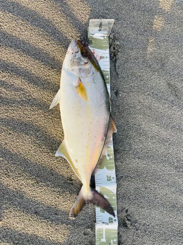 大倉戸海岸