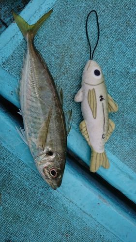 七尾北湾