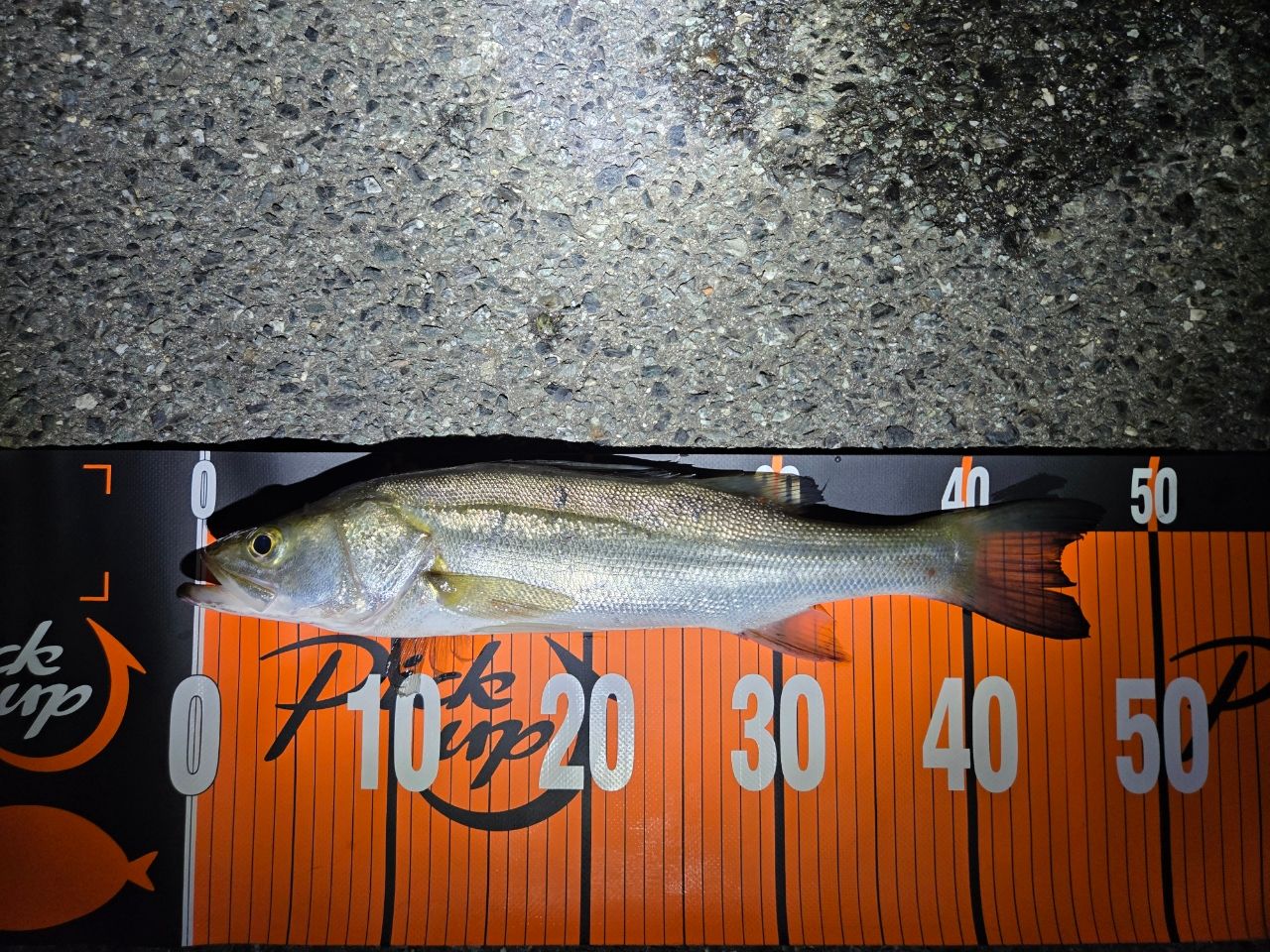 DAIWA 17モアザン LBD 2510PEの最安値・インプレ・釣果 | 本音の口コミ