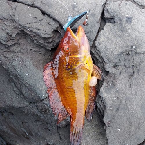 玄界灘