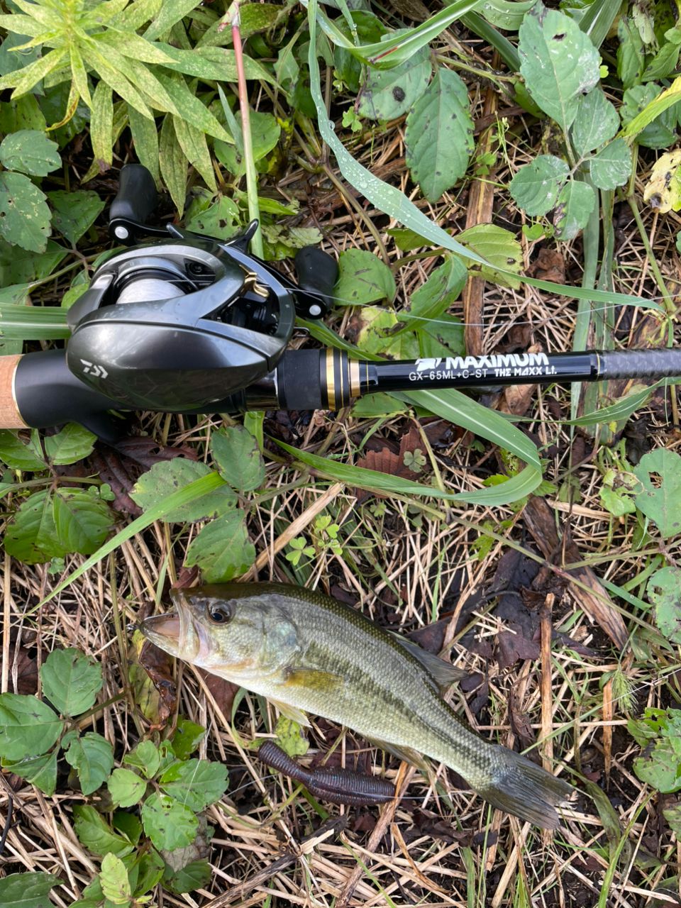 19スティーズCT sv TW 700XHL ダイワ】 19スティーズ CT SV TW 700XHL DAIWA STEEZ | スプール