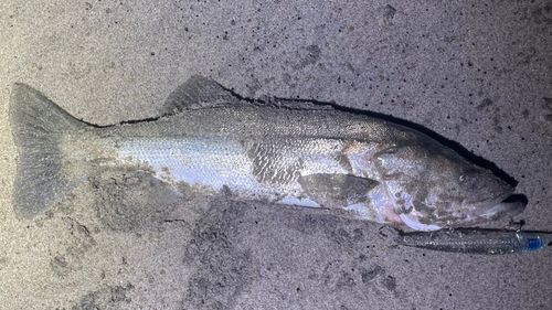 新舞子海岸（いわき）