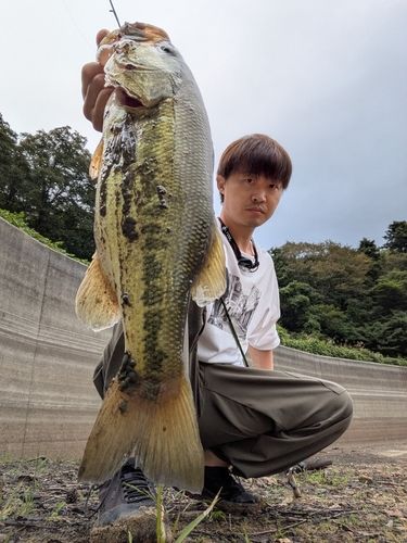 月山池