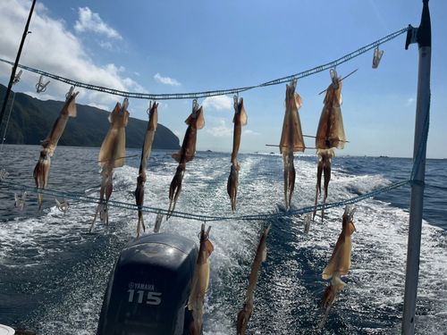 函館湾