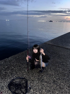 サゴシの釣果
