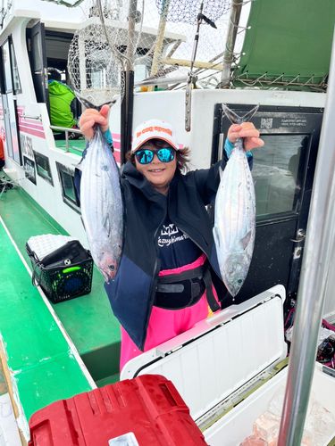 キハダマグロの釣果