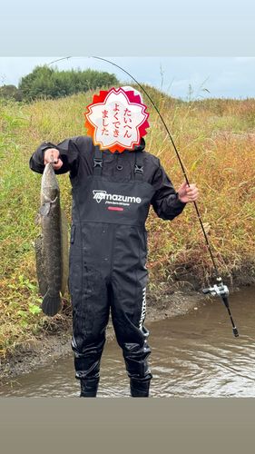 久慈川下流