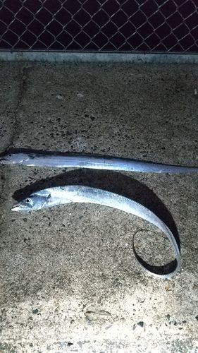 豊浜漁港