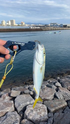 表浜名湖