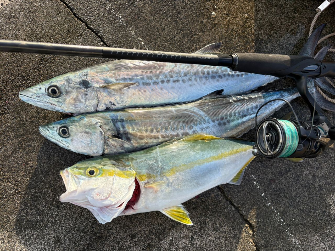 SHIMANO 22エクスセンス ズーム S86-96Mの最安値・インプレ
